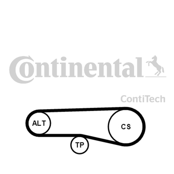 Ilustracja 4PK890K1 CONTINENTAL CTAM ZESTAW PASKA KLINOWEGO WIELOROWKOWEGO