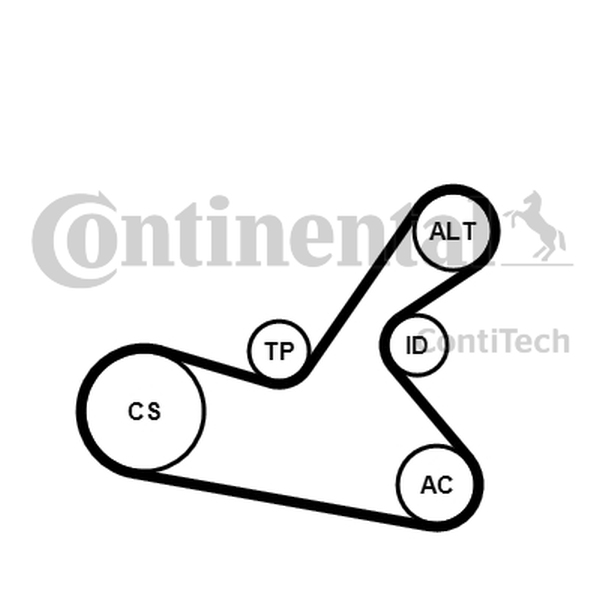 Ilustracja 6PK1125K1 CONTINENTAL CTAM ZESTAW PASKA KLINOWEGO WIELOROWKOWEGO