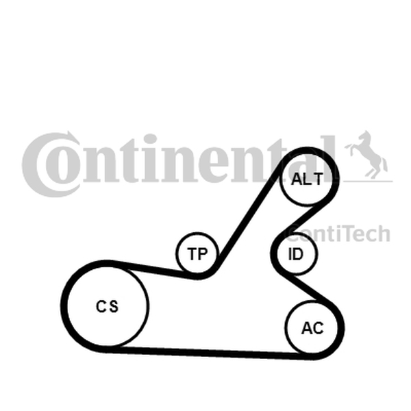 Ilustracja 6PK1145K4 CONTINENTAL CTAM ZESTAW PASKA KLINOWEGO WIELOROWKOWEGO