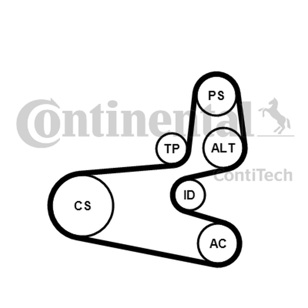 Ilustracja 6PK1560K1 CONTINENTAL CTAM ZESTAW PASKA KLINOWEGO WIELOROWKOWEGO