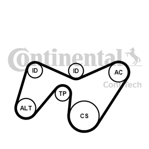Ilustracja 6PK1642K2 CONTINENTAL CTAM ZESTAW PASKA KLINOWEGO WIELOROWKOWEGO