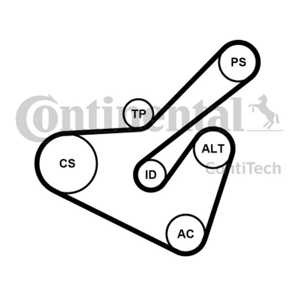 Ilustracja 6PK1725K2 CONTINENTAL CTAM ZESTAW PASKA KLINOWEGO WIELOROWKOWEGO CITROEN PEUG