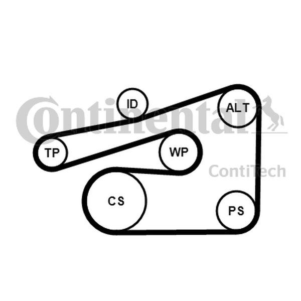 Ilustracja 6PK1733K4 CONTINENTAL CTAM ZESTAW PASKA KLINOWEGO WIELOROWKOWEGO