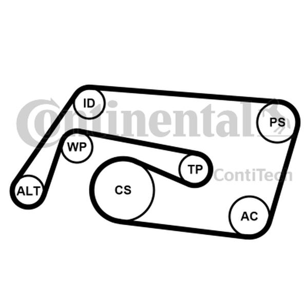 Ilustracja 6PK2260K2 CONTINENTAL CTAM ZESTAW PASKA KLINOWEGO WIELOROWKOWEGO