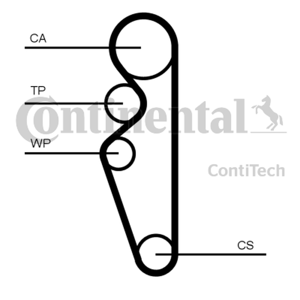 Ilustracja CT1164 CONTINENTAL CTAM PASEK ROZRZĄDU LADA