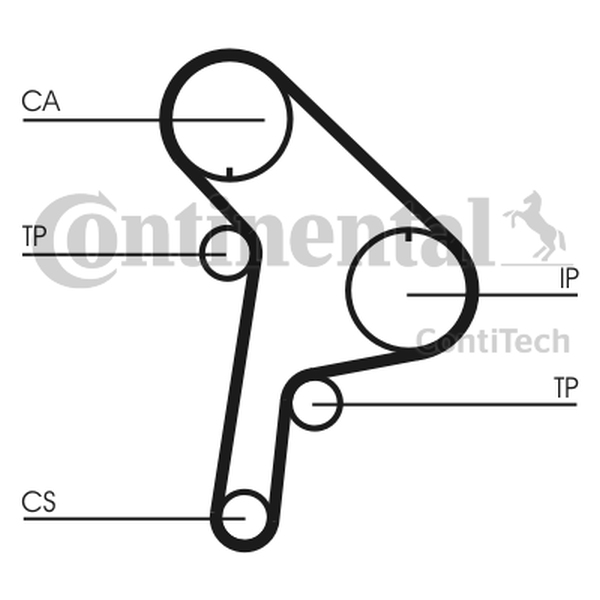 Ilustracja CT951 CONTINENTAL CTAM PASEK ROZRZĄDU CITROEN