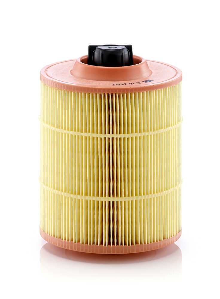 Ilustracja C16142/2 MANN-FILTER FILTR POWIETRZA FORD